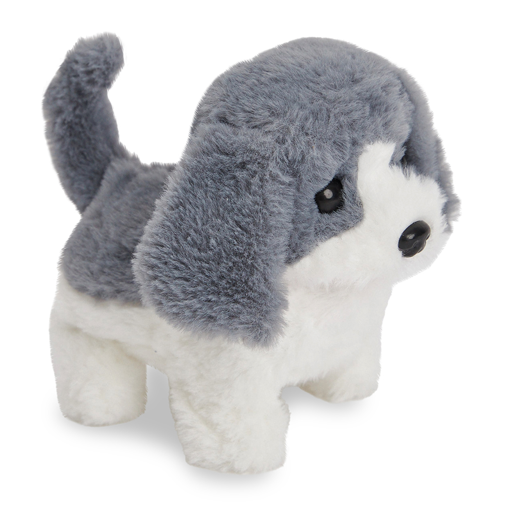 Mi mascota con set veterinario (RL18-A_2)