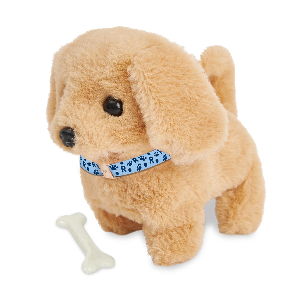 Mi mascota con set veterinario (RL18-D_2)