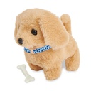 Mi mascota con set veterinario (RL18-D_2)