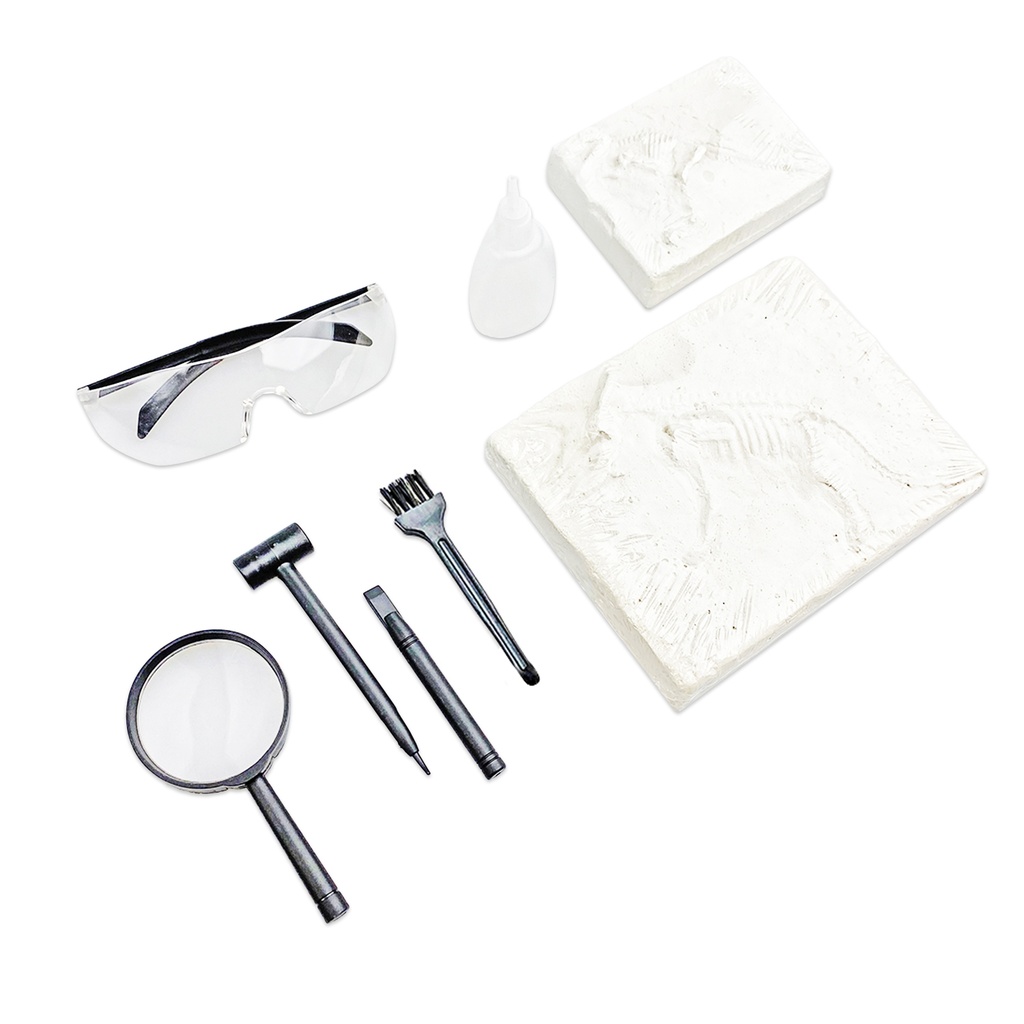 Kit de excavación de super fósiles  (DS016_1)