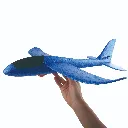 PL51_3B.webp